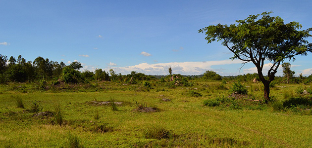 Devlet Arazisi Satın Alacaklar Dikkat