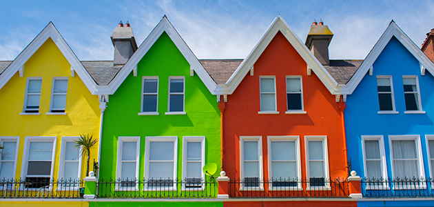 Alligator Boya Yaşam Alanlarını Renklendiriyor