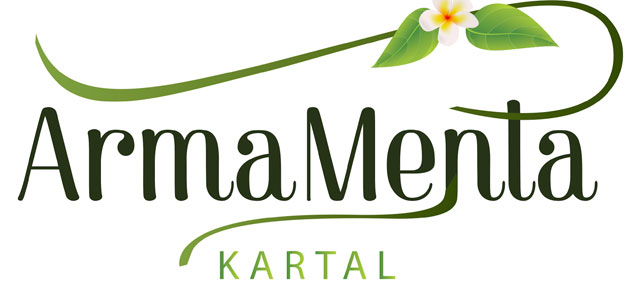 Armamenta Kartal Projesi Satışa Çıkmaya Hazırlanıyor