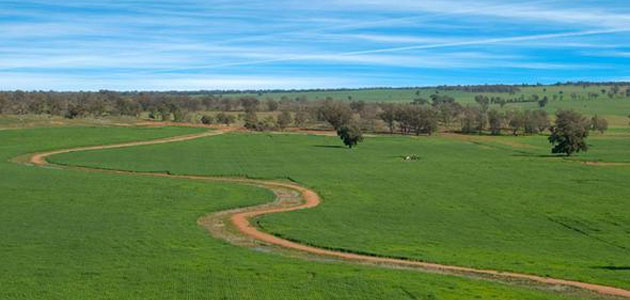 Beykoz’da arazi fiyatlarına 3. Köprü dopingi