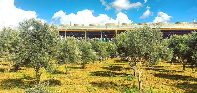 Türkiye yenilenebilir enerjide cazibe merkezi olacak