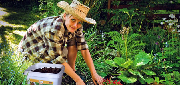 Yaza Girmeden Bahçe Bakımınızı Yapın