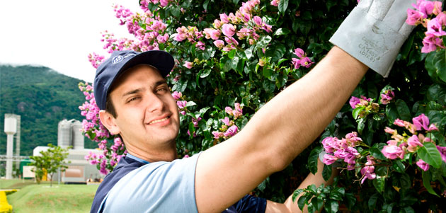 Bahçelerde kış bakımı!