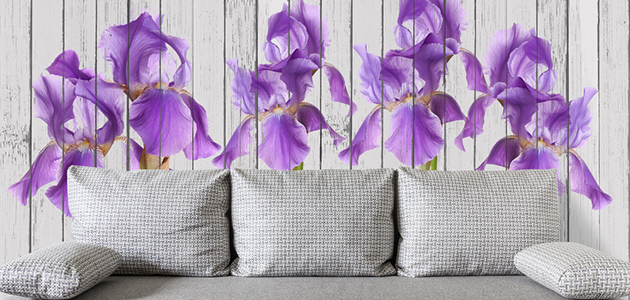 Sokak Graffitisi Evlerinize Taşınıyor