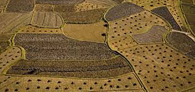 Birleştirme (Tevhit) İşlemlerini Gerçekleştirirken Hangi Yollar İzlenmelidir?