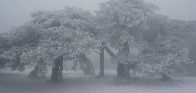 Kar Ne Zaman Yağacak?2016!