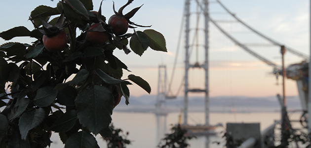 Osman Gazi Köprüsü Açıldı 2016-06-30