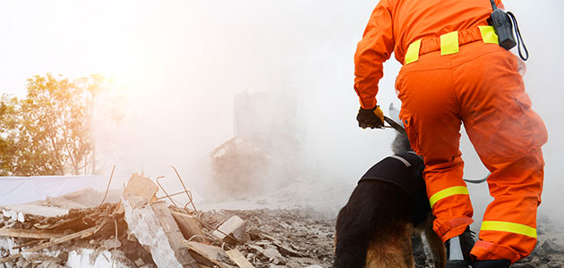 Konut Alımında Deprem Gerçeği Unutulmamalı