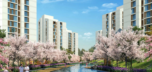 Resim İstanbul Orman 2 Bin 800 Lira Peşinatla Ev Sahibi Yapıyor! 2015-11-17